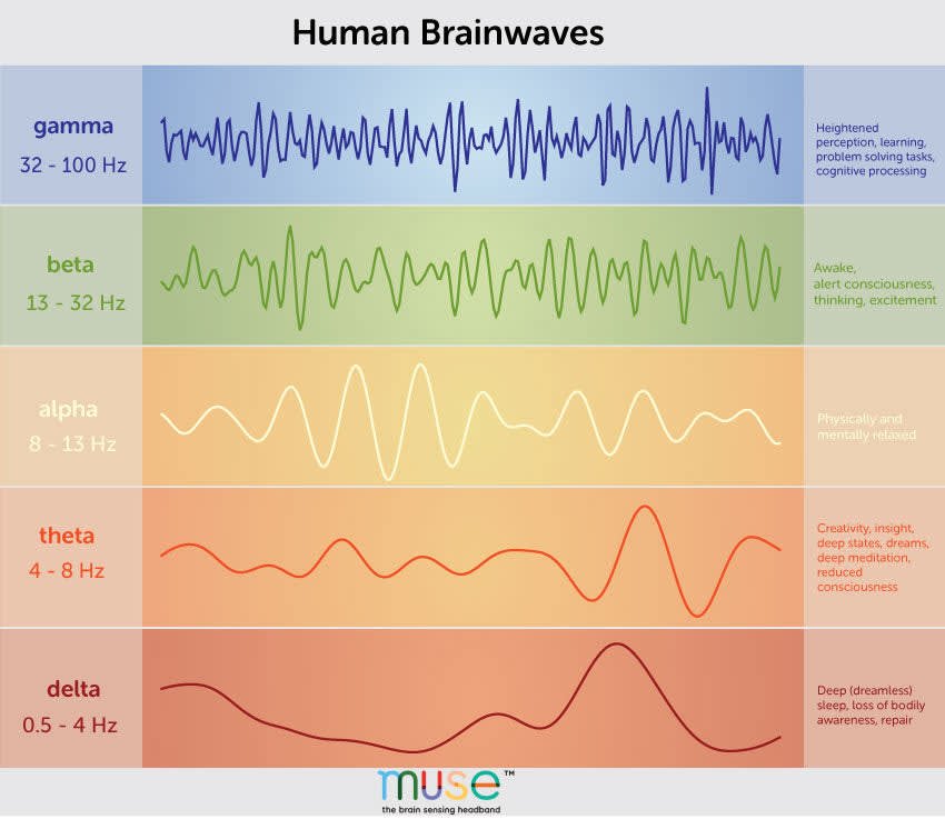 Diagram of human brainwave types including gamma, beta, alpha, theta, and delta with their frequency ranges and associated mental states